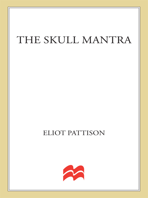 Cover image for book The Skull Mantra