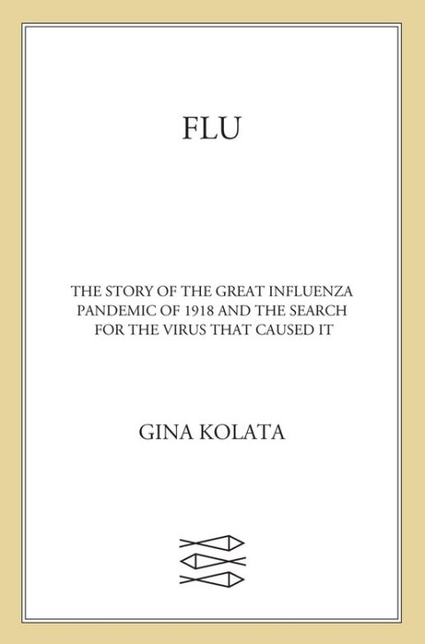 Cover image for book Flu
