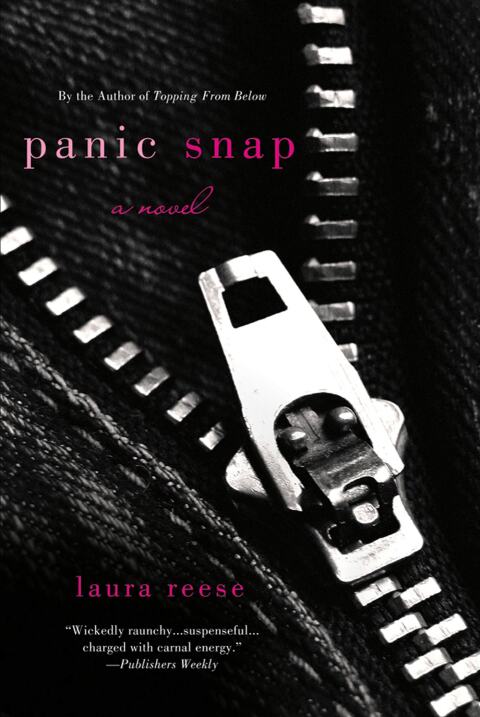 Cover image for book Panic Snap
