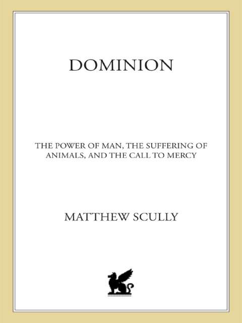 Cover image for book Dominion