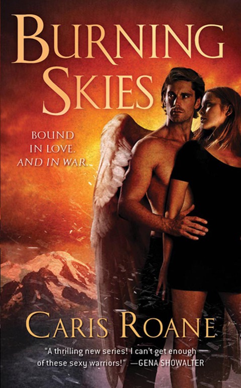 Cover image for book Burning Skies