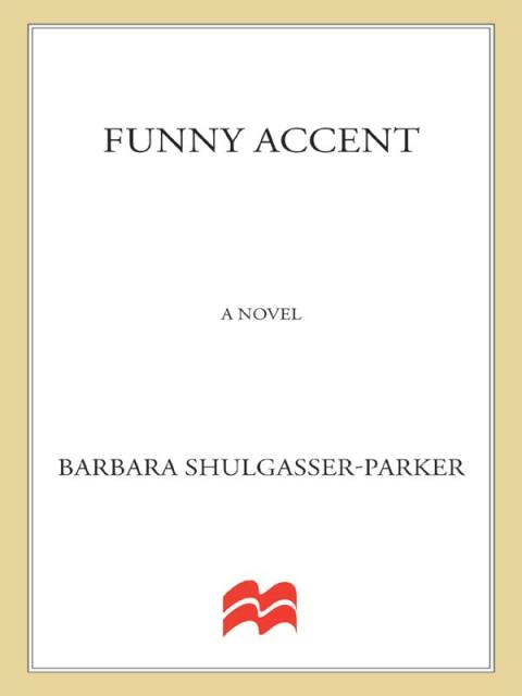 Cover image for book Funny Accent