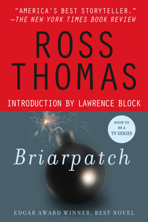 Cover image for book Briarpatch