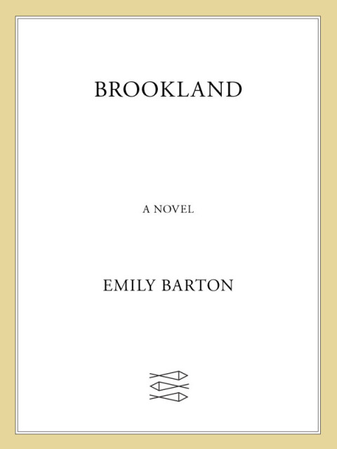 Cover image for book Brookland