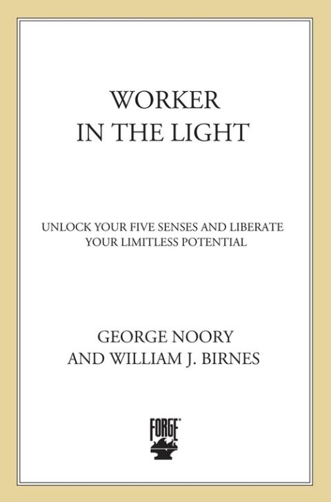 Cover image for book Worker in the Light