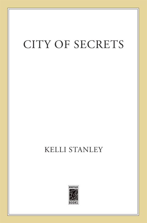 Cover image for book City of Secrets