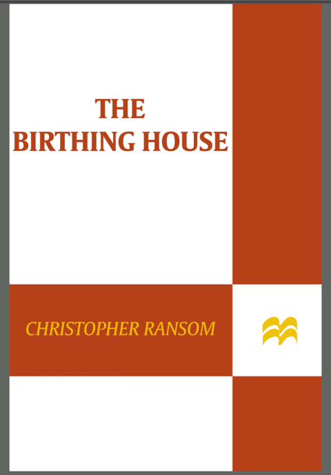Cover image for book The Birthing House