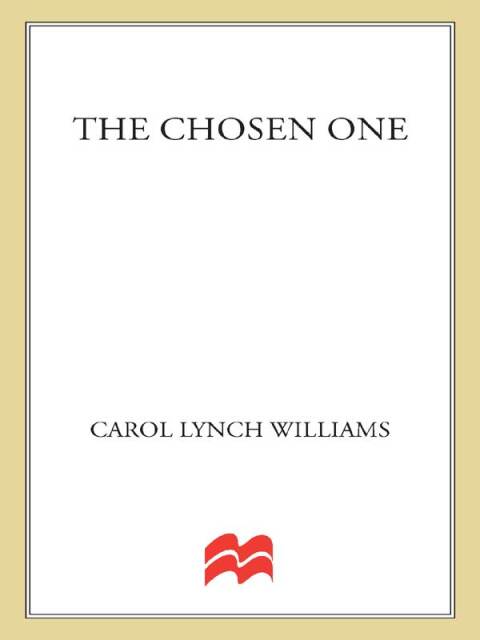 Cover image for book The Chosen One
