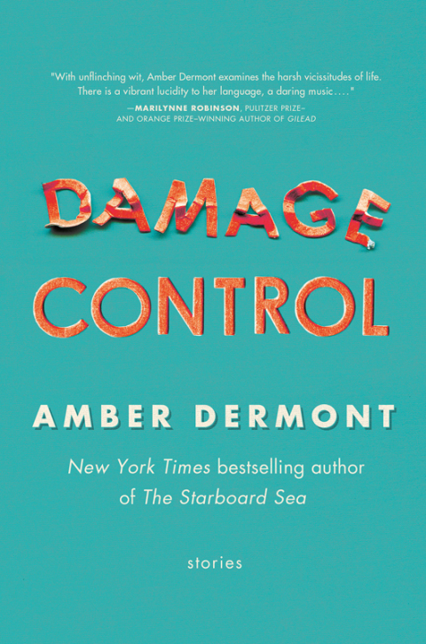 Cover image for book Damage Control