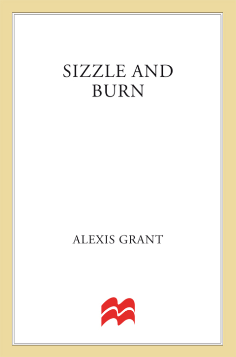 Cover image for book Sizzle and Burn