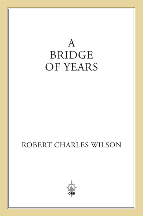 Cover image for book A Bridge of Years