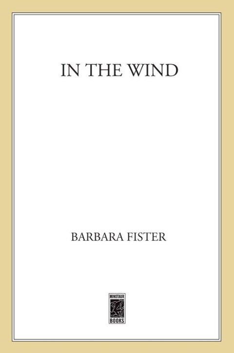Cover image for book In the Wind