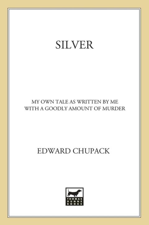 Cover image for book Silver