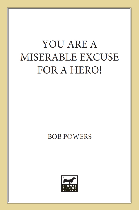 Cover image for book You Are a Miserable Excuse for a Hero!