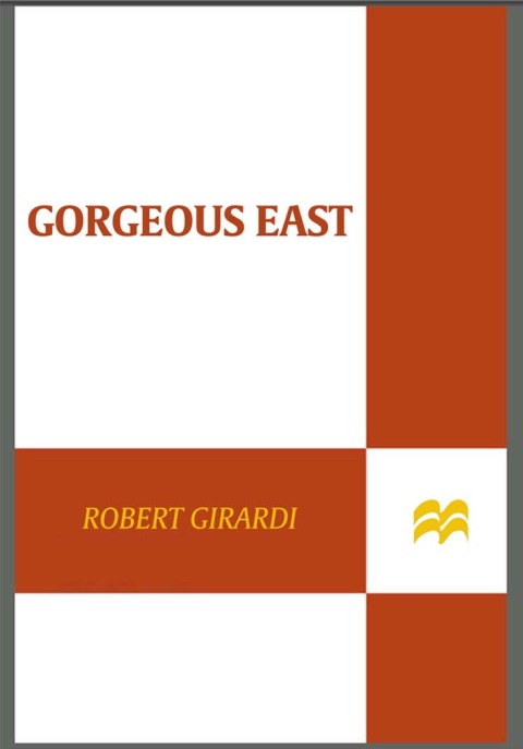 Cover image for book Gorgeous East