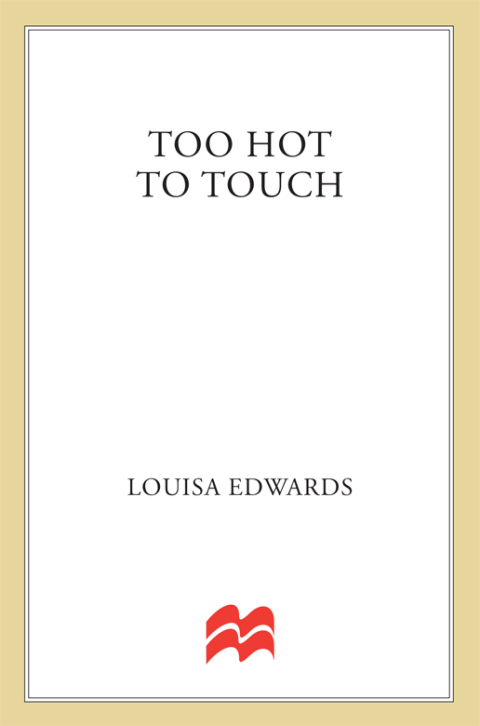 Cover image for book Too Hot To Touch