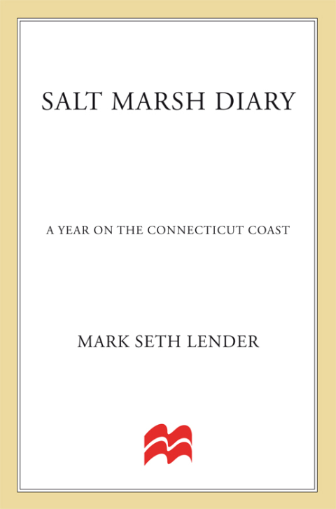 Cover image for book Salt Marsh Diary