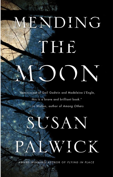 Mending the Moon 