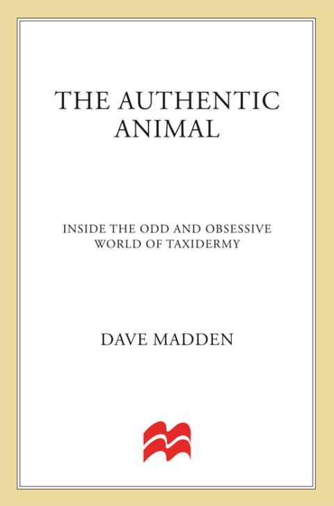 Cover image for book The Authentic Animal