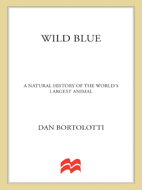 Cover image for book Wild Blue