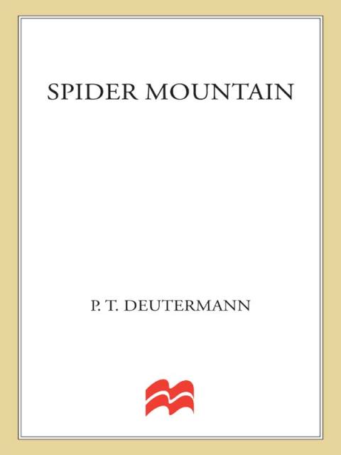 Cover image for book Spider Mountain