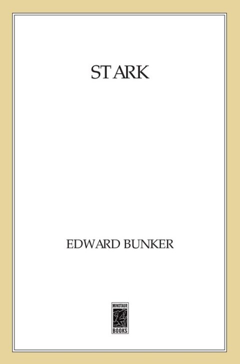 Cover image for book Stark