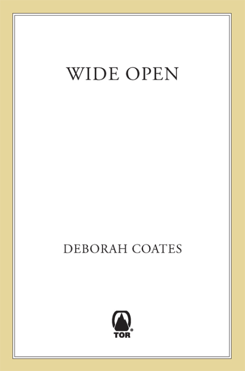 Cover image for book Wide Open