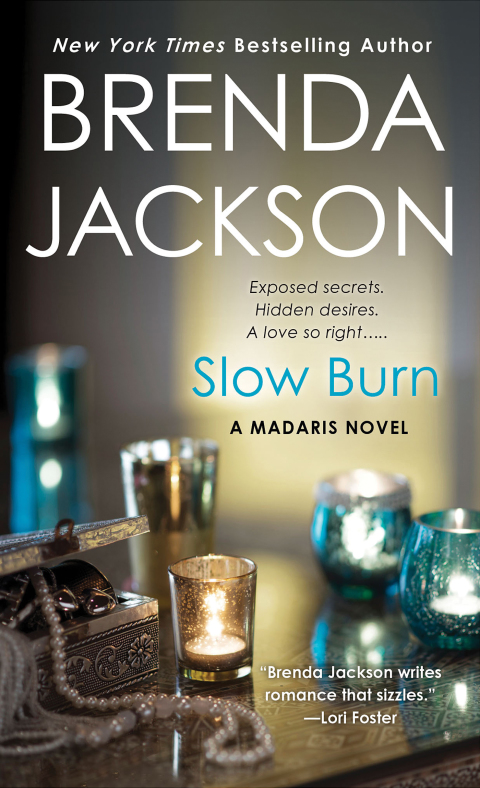 Cover image for book Slow Burn
