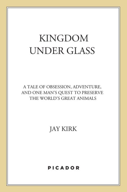 Cover image for book Kingdom Under Glass