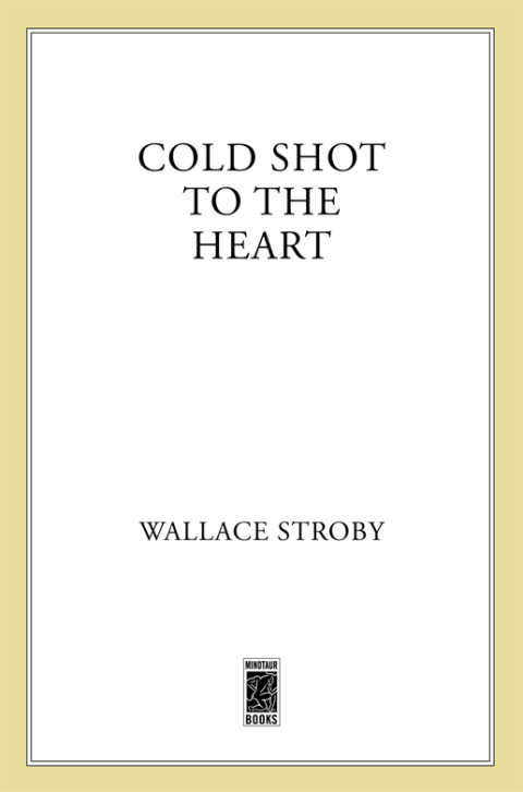 Cover image for book Cold Shot to the Heart