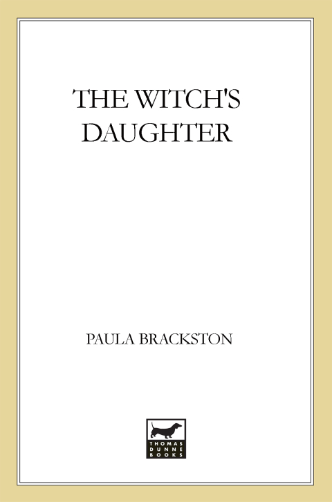 Cover image for book The Witch's Daughter
