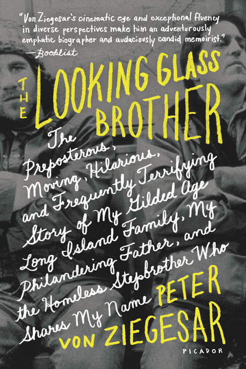 Cover image for book The Looking Glass Brother