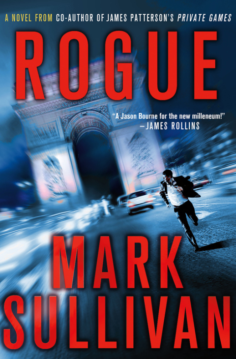 Cover image for book Rogue