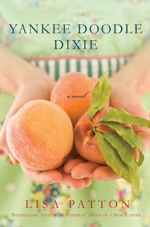 Cover image for book Yankee Doodle Dixie