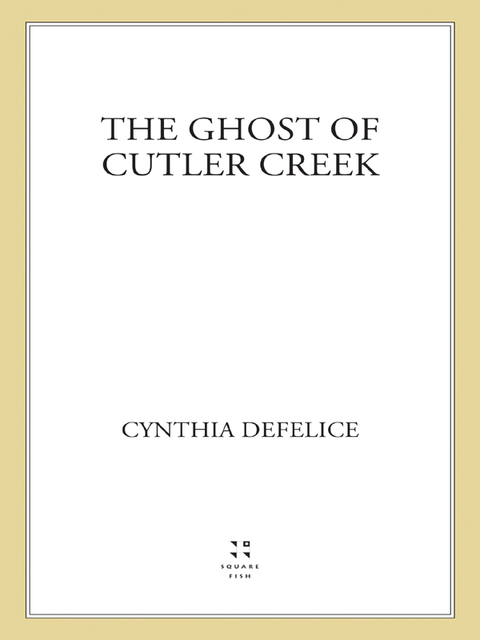 Cover image for book The Ghost of Cutler Creek