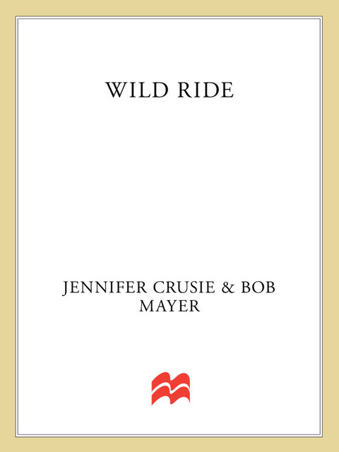 Cover image for book Wild Ride