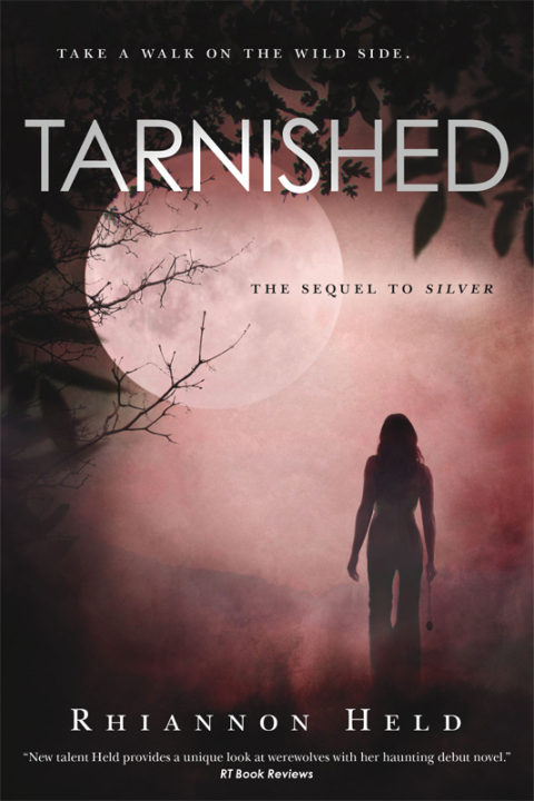 Cover image for book Tarnished