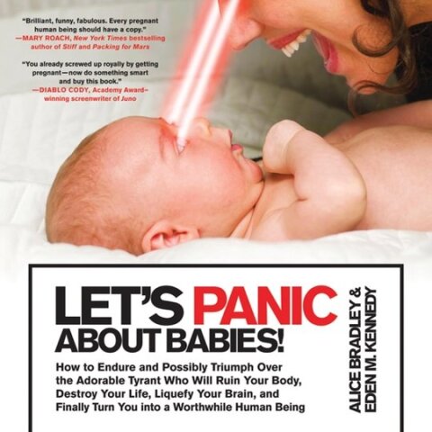 Cover image for book Let's Panic About Babies!