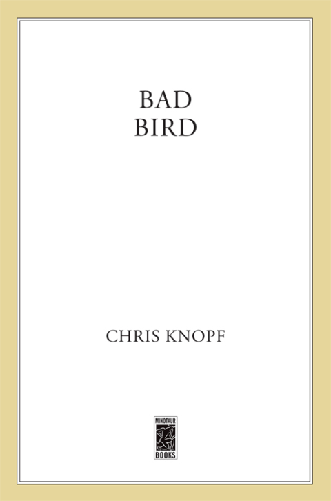 Cover image for book Bad Bird
