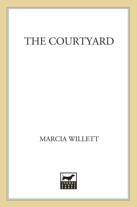 Cover image for book The Courtyard