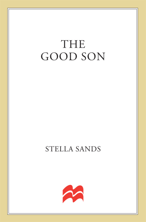 Cover image for book The Good Son