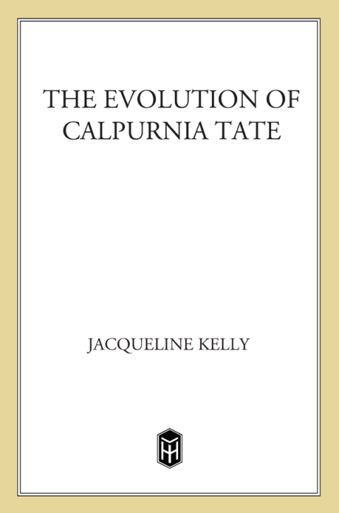 Cover image for book The Evolution of Calpurnia Tate