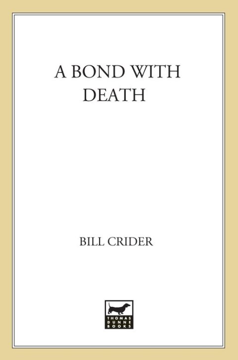 Cover image for book A Bond with Death