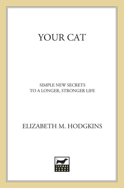 Cover image for book Your Cat