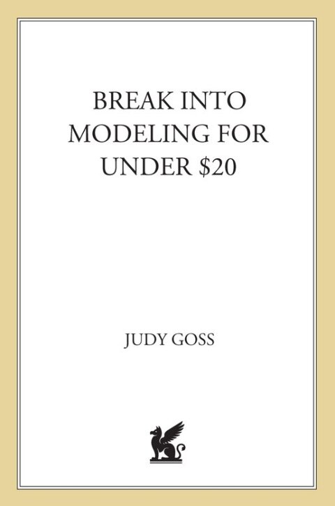 Cover image for book Break into Modeling for Under $20
