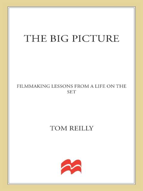Cover image for book The Big Picture