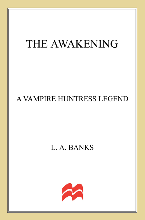 Cover image for book The Awakening