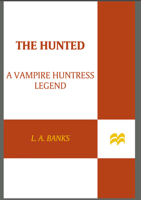Cover image for book The Hunted