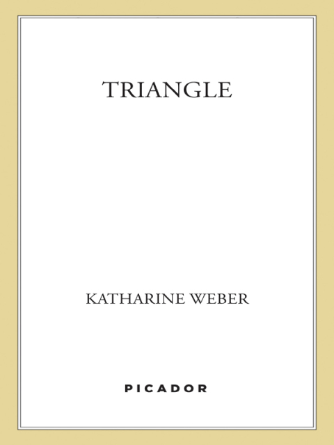 Cover image for book Triangle