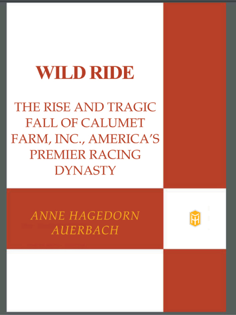 Cover image for book Wild Ride